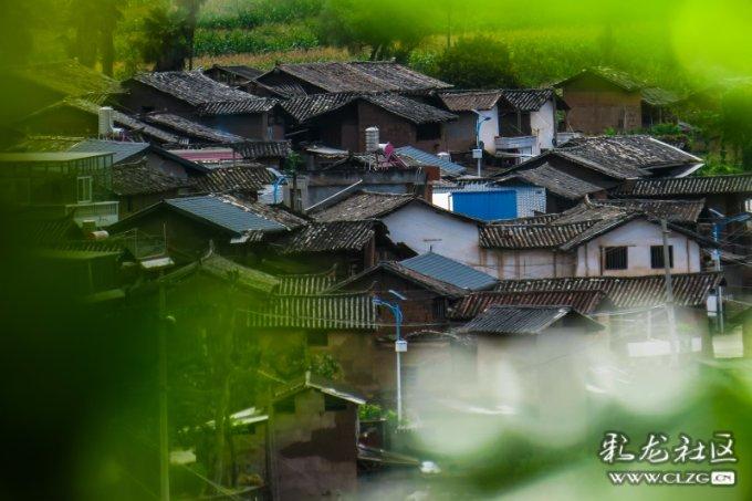 以撒的结合：重生